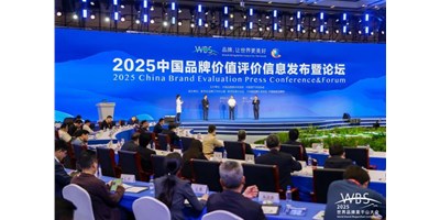 dcbox小金库集团受邀出席【2025 WBS世界品牌莫干山大会】